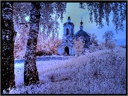 Zima, Kościół, Drzewa